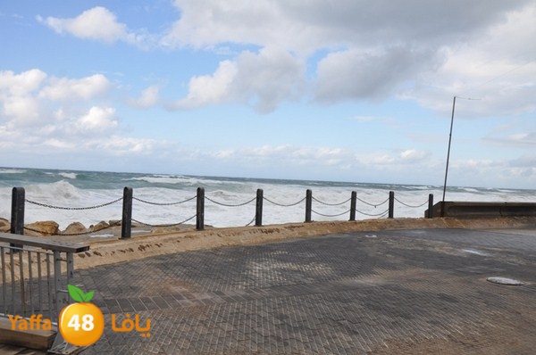 yaffa rain 1211 (14).JPG